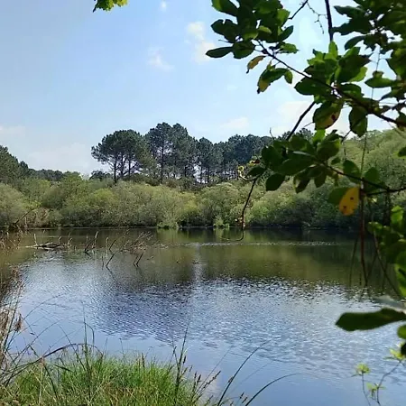 Very Quiet House With Shared Swimming Pool Holiday home Moliets-et-Maa