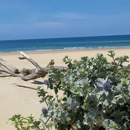 Very Quiet House With Shared Swimming Pool * 몰리엣젯마