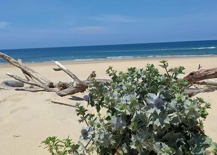 Very Quiet House With Shared Swimming Pool * Moliets-et-Maa