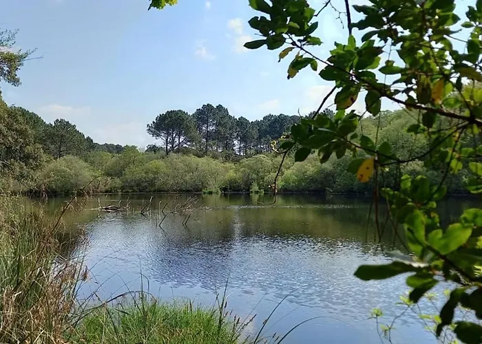 Very Quiet House With Shared Swimming Pool Moliets-et-Maa