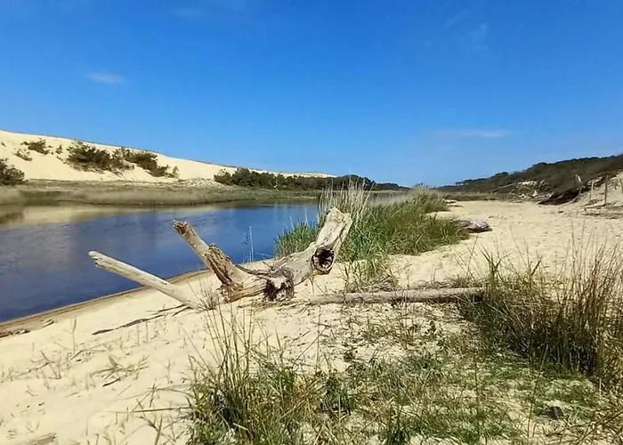 Very Quiet House With Shared Swimming Pool Feriehus Moliets-et-Maa